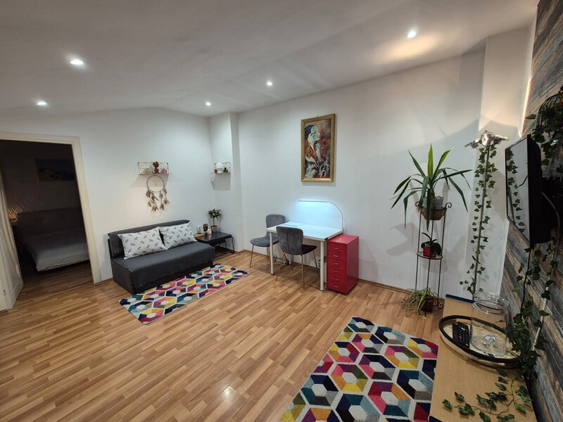 Banu Manta, Primaria sector 1